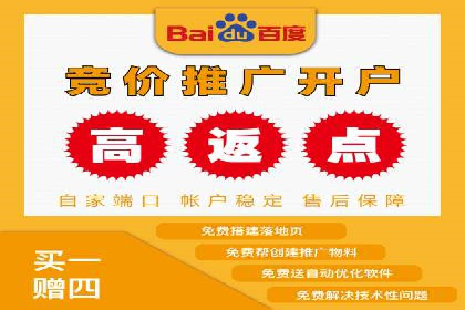 竞价SEM托管服务：成功案例揭秘